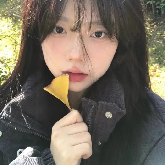 春季大赏封面